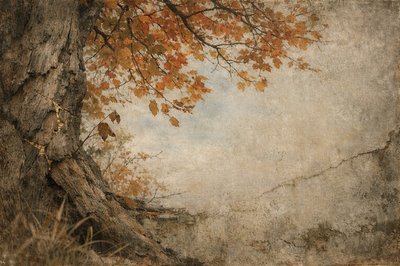 This day, though, I hiked another autumn wood.  Eastern Europe ancient; overgrown.  So thick the view was dark at just a few feet off the path.  All red and yellow; orange and brown, a million trees, each one in blazing preparation for long, frozen winter.  I cannot but recall my friend’s words, lasting long, though he did not, and the instant truth that follows.  Looking upward at the fiery canopy, matched against the bright cerulean sky beyond, I embrace autumn!  Winter surely comes one day, but spring beyond.  I have a winter to prepare for, but it is not yet.