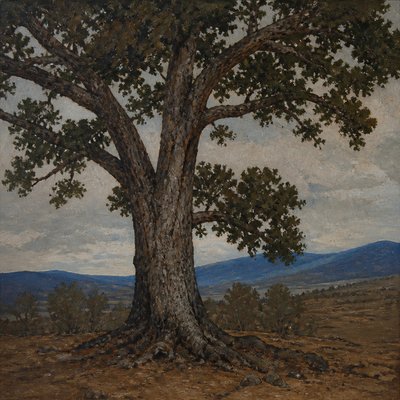 a tree in nature