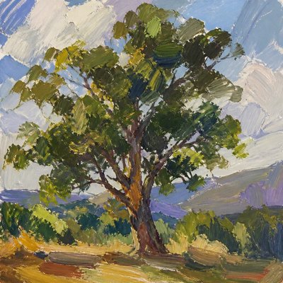 a tree in nature