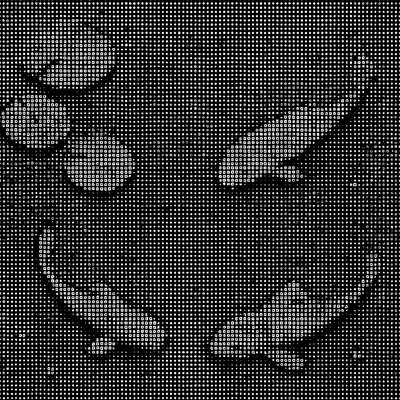 A koi pond seen from above, orange and white koi fish swimming among lily pads, clear water with subtle ripples, fallen cherry blossom petals floating on the surface, dappled sunlight