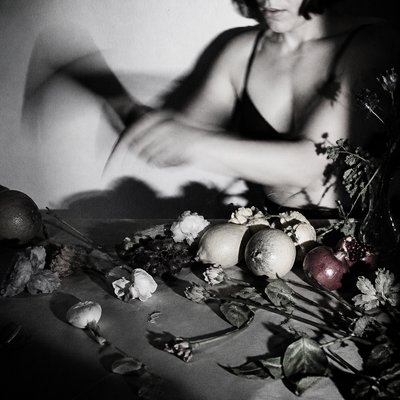 still life arrangement of fruits and flowers