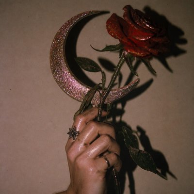 a rose entwined with a crescent moon, clean balanced composition on a plain background, no text