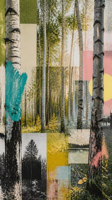 a serene birch forest in soft morning light, no people, no text