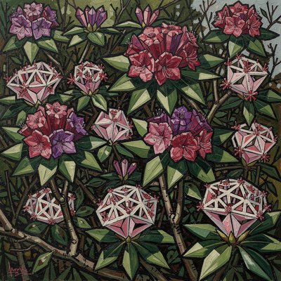 Art Style: Analytical Cubism, avant-garde oil painting style reminiscent of Picasso and Braque.

Subject: A dense, tangled thicket of Rhododendrons and Mountain Laurel bushes.

Composition & Details: The entire natural scene is deconstructed into overlapping geometric planes, fractured shards, and intersecting angles. There are no curved lines; everything is rendered in cubes, cones, and trapezoids.

    The Rhododendrons: Large, showy flower trusses are broken into faceted crystalline structures of deep magenta, rose pink, and violet blocks, looking like explosions of colored quartz rather than soft petals.

    The Mountain Laurels: The smaller, intricate flowers are rendered as complex, repeating geometric star-patterns and angular cups in white and pale pink with distinct red polygonal markings.

    Foliage & Branches: The thick, leathery leaves are fragmented green triangles and parallelograms overlapping each other, creating a sense of depth without traditional perspective. The woody stems and branches are jagged, intersecting brown and grey cylinders that shatter across the frame.

Color & Texture: A palette of muted earth tones—ochre, burnt umber, forest green, and slate grey—contrasted sharply with the jewel-toned facets of the flower colors. The finish should have a heavy, textured oil paint feel with visible palette knife marks and rough brushwork.