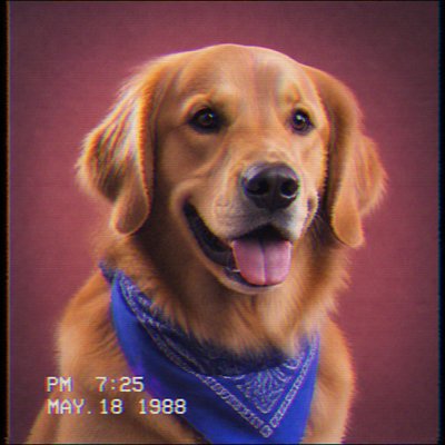 portrait of a golden retriever wearing a blue bandana, warm plain backdrop, no text