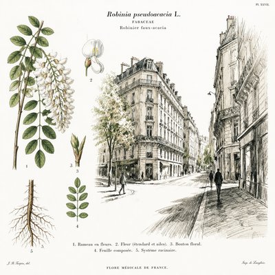 Botanical Illustration Art Style Style Transfer Example