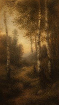 a serene birch forest in soft morning light, no people, no text