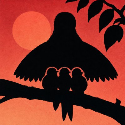 three birds sitting on a branch in front of a red sky