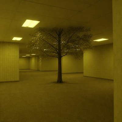 a tree in nature