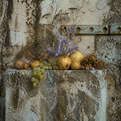 still life arrangement of fruits and flowers