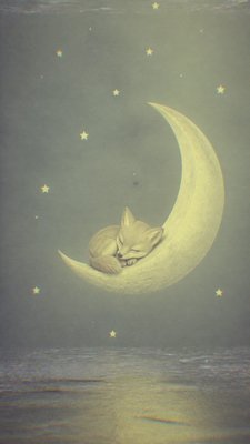 a sleeping baby fox curled on a crescent moon among soft stars, gentle and warm, no text