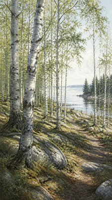 a serene birch forest in soft morning light, no people, no text