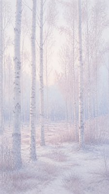 a serene birch forest in soft morning light, no people, no text
