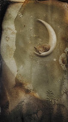a sleeping baby fox curled on a crescent moon among soft stars, gentle and warm, no text