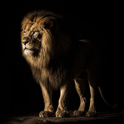 animal standing in natural pose — Light and Shadow Art Style