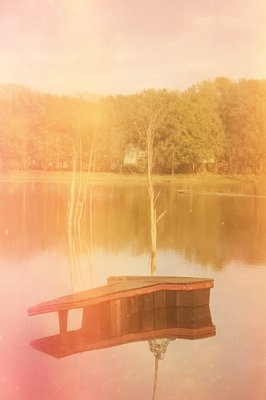 a boat floating on top of a lake next to a tree