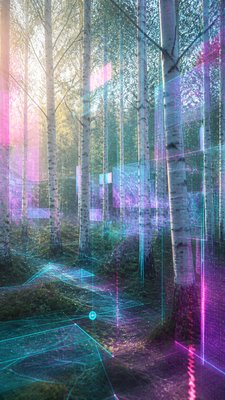 a serene birch forest in soft morning light, no people, no text