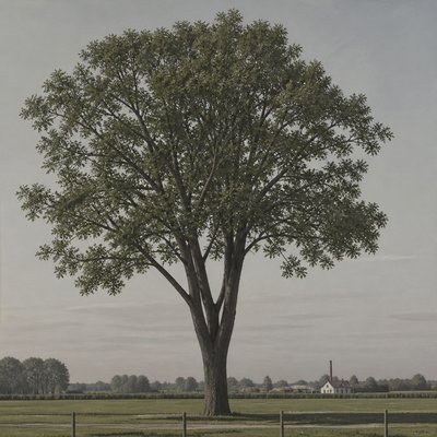 a tree in nature — New Objectivity Art Style