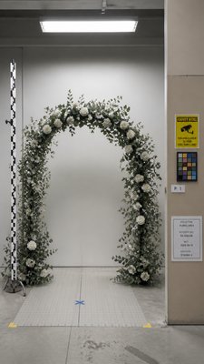 an arch of white roses and eucalyptus in soft morning light, elegant vertical composition with open space, no text