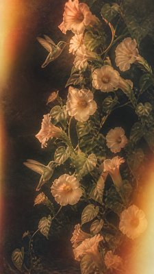 a climbing vine of flowers and hummingbirds on a dark background, tall wrapping composition, no text