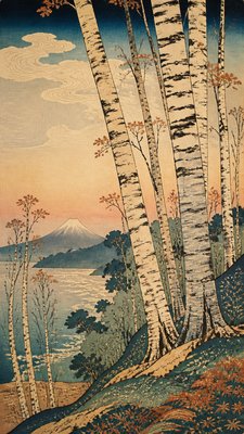a serene birch forest in soft morning light, no people, no text