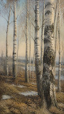 a serene birch forest in soft morning light, no people, no text