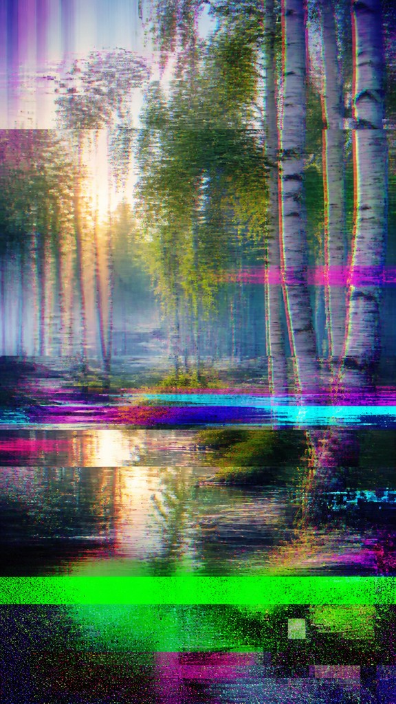 a serene birch forest in soft morning light, no people, no text