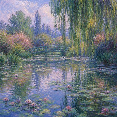 wide landscape with natural scenery