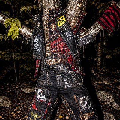 a tree in nature — Punk Fashion Style