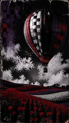 a hot air balloon drifting over rolling flower fields on a sunny day, cheerful, no text