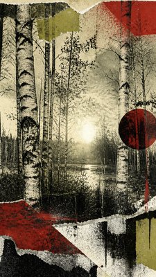 a serene birch forest in soft morning light, no people, no text
