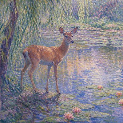 animal standing in natural pose