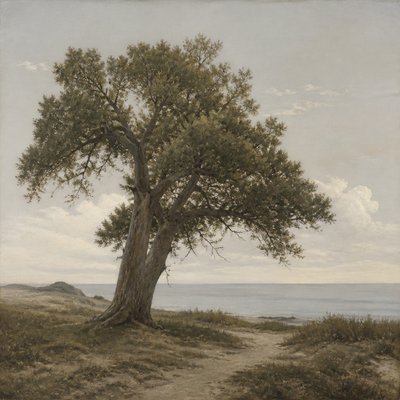 a tree in nature — Danish Art Style