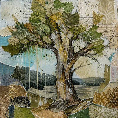 a tree in nature