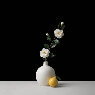Minimalist Photography Style 3