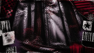 a panoramic redwood forest with light rays through mist, no people