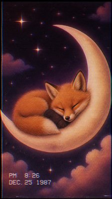 a sleeping baby fox curled on a crescent moon among soft stars, gentle and warm, no text