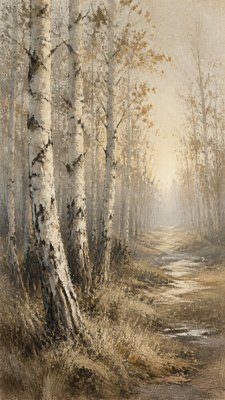 a serene birch forest in soft morning light, no people, no text