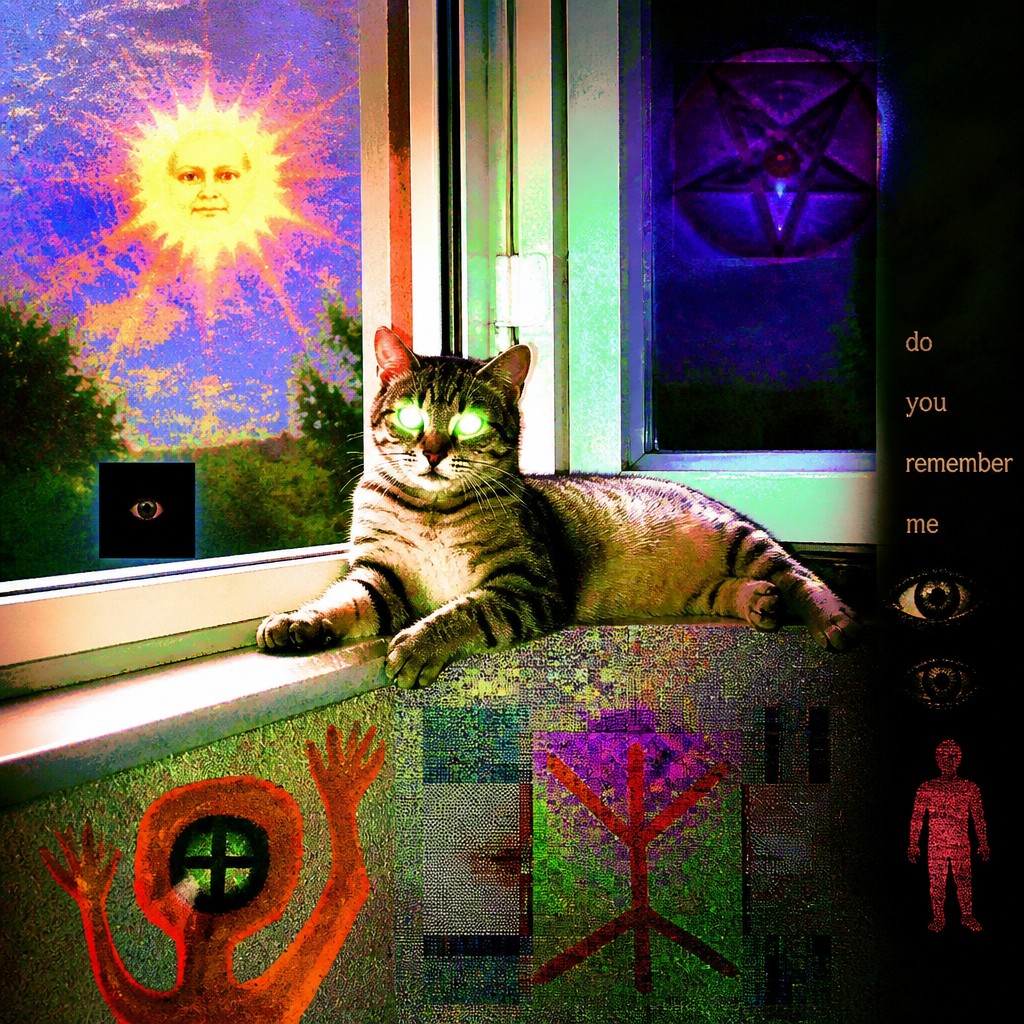 a cat lounging in a sunlit window — Weirdcore Aesthetic