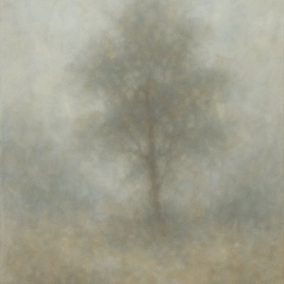 a tree in nature