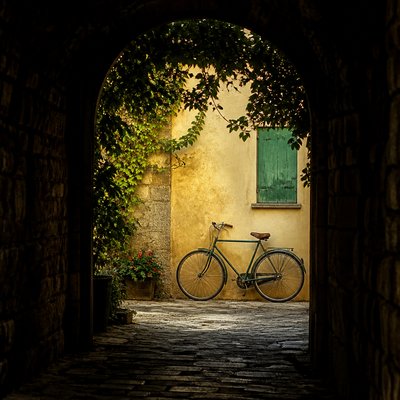 bicyle resting against a wall — Framing Art Style