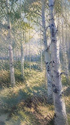 a serene birch forest in soft morning light, no people, no text