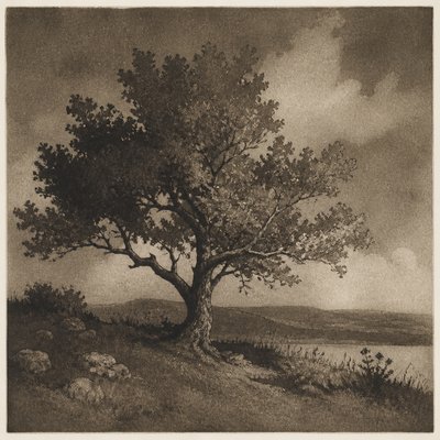 a tree in nature — Aquatint Print Style
