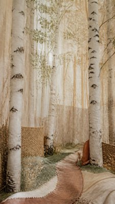 a serene birch forest in soft morning light, no people, no text