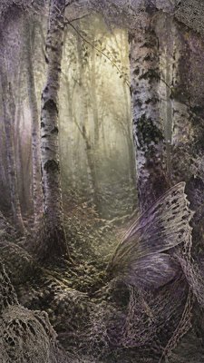 a serene birch forest in soft morning light, no people, no text