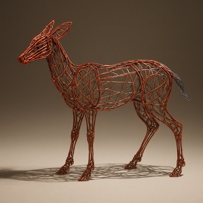 animal standing in natural pose