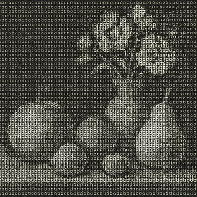 still life arrangement of fruits and flowers