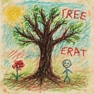 a tree in nature
