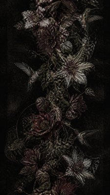 a climbing vine of flowers and hummingbirds on a dark background, tall wrapping composition, no text