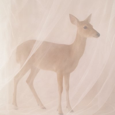 animal standing in natural pose